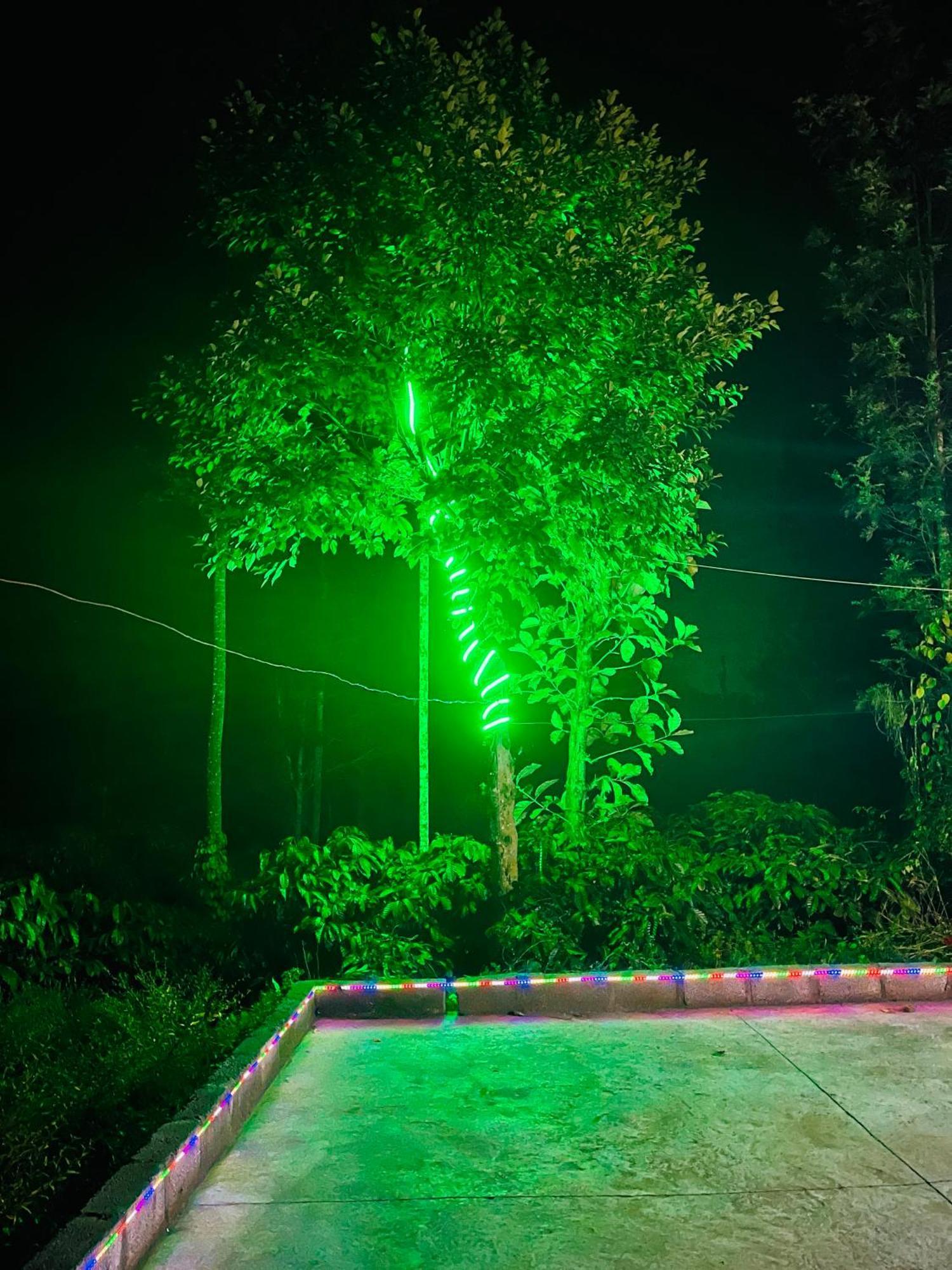 Preetham Homestay Kushalnagar Exterior photo